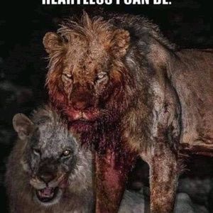 Meet your Posher, Kenny